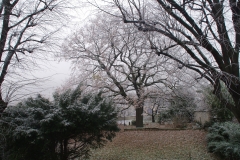 jardin-clos-merise-hiver-2000
